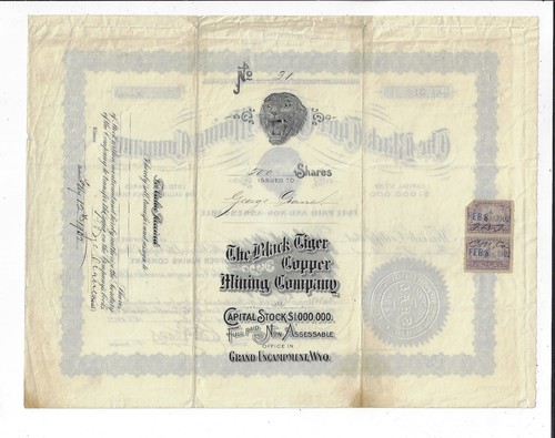 WYOMING 1902 The Black Tiger Copper Mining Company Stock Certificate #31 Fraud - Picture 2 of 2