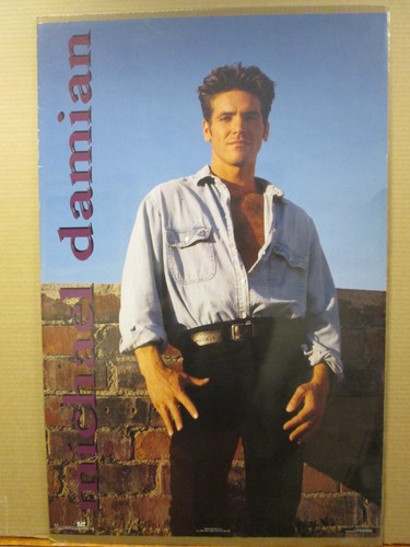 vintage 1993 Michael Damian original poster 10105