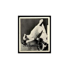Come Up and See Me Sometime 1935 De Reszke Our Favourites #15 Tobacco Card VG