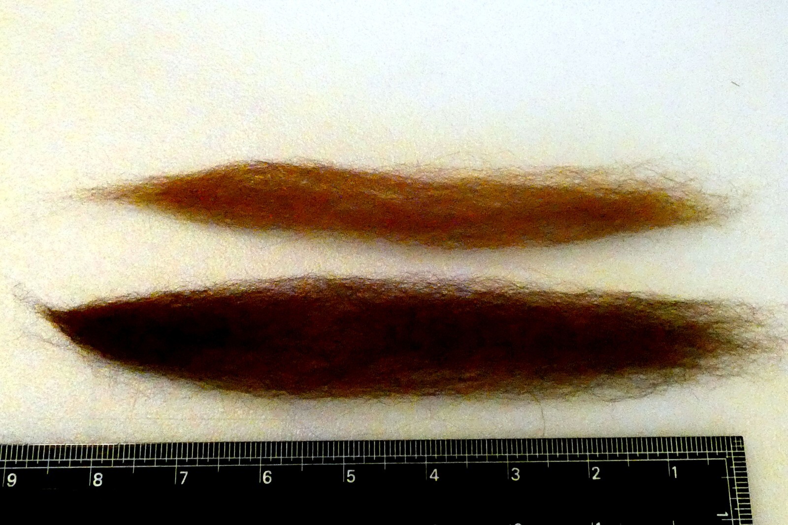Picture 9 of 12
