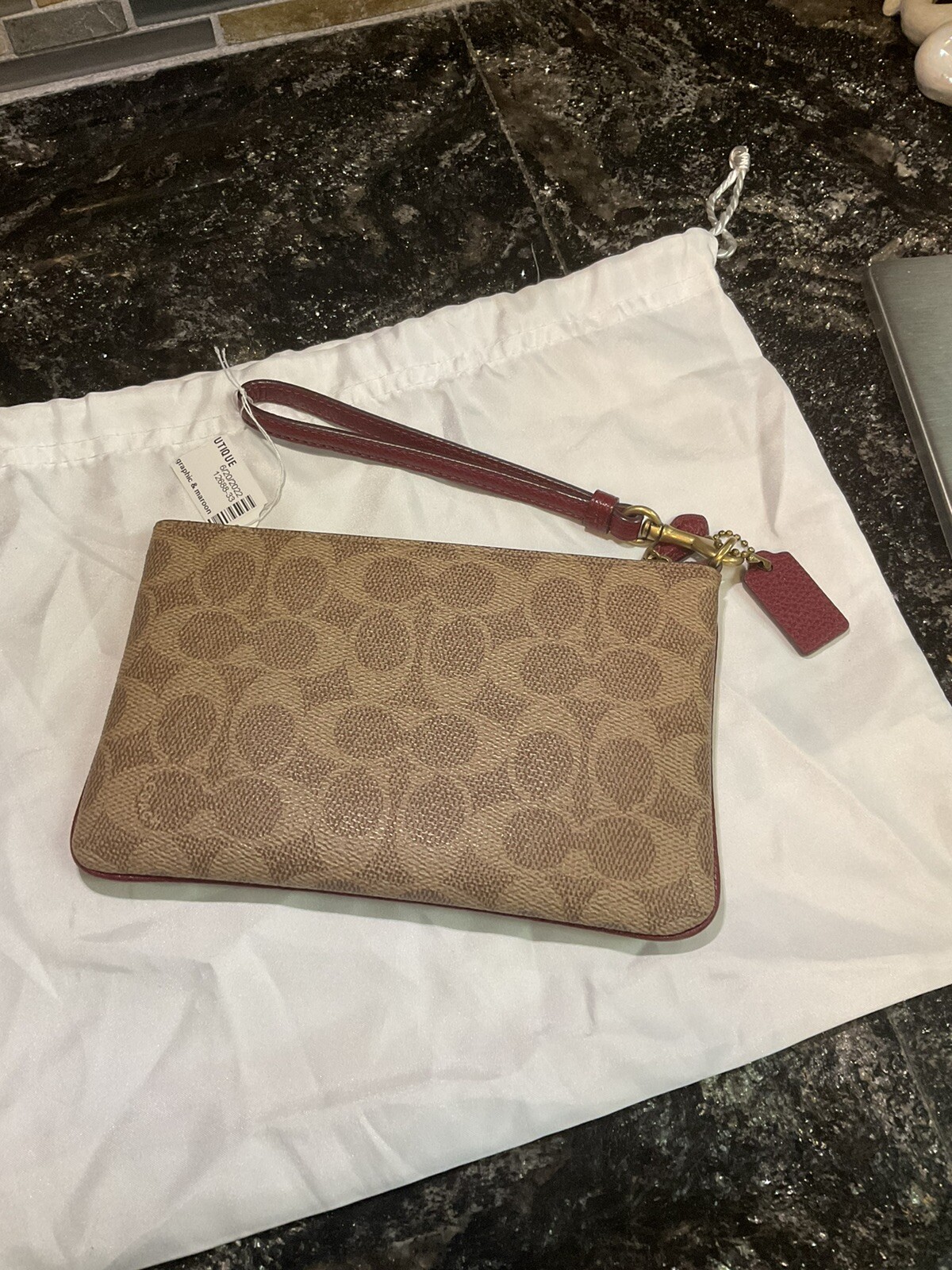 🌈Coach Rexy Signature Wristlet Ombré Rainbow Horse &… Gem