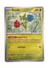 New: 2024 Pokémon TCG Roselia 008 Sv05: Temporal Forces Regular Common