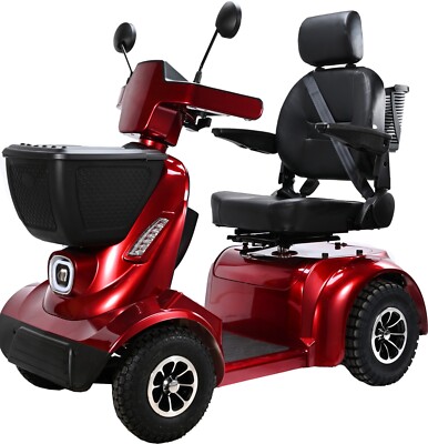 COMFY KORB Elektromobilität Roller 800W 58ah mit MP3-System von Green Power