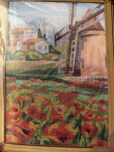 Collection D Art Printed needlepoint kits Tapestry Canvas Floss Inclu30x40 cm