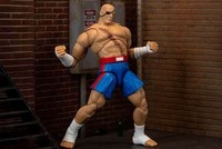 Jada Ultra Street Fighter II The Final Challengers Sagat