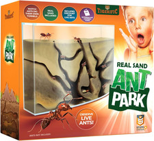 Ant Farm for Live Ants - Real Sand Ant Colony Kit for Kids -Fun Science Habitat