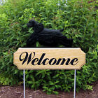 American Cocker Spaniel Dig Welcome Stake