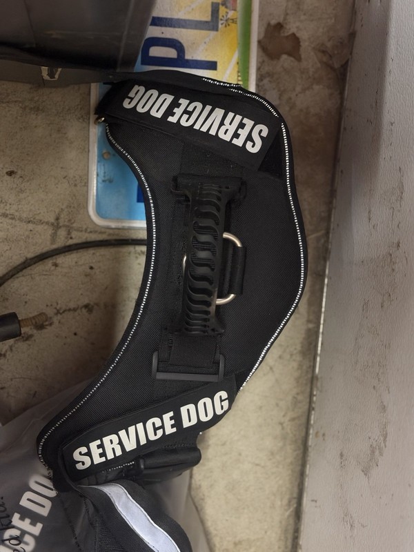 Large Sevice Dog Harness