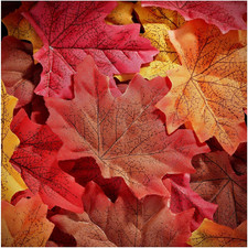 300Pcs Fall Artificial Maple Leaves 3.35 Inch Fake Mixed Autumn Leaves Thanksgiv