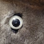 RINGLING BROS and BARNUM & BAILEY, Vintage 1987 King Tusk Plush Stuffed Animal — photo 3