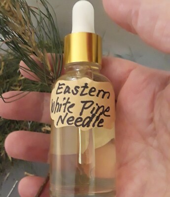 3 oz Organic Eastern white Pine Needle Tincture Apple Cider Vinegar Base Tea