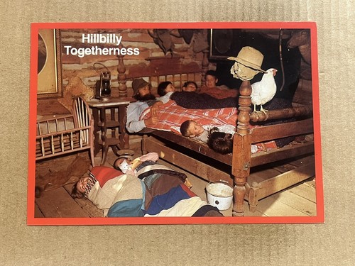 Postcard Ozarks Humor Missouri MO Arkansas AR Hillbilly Togetherness Vintage PC