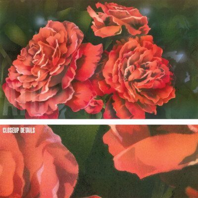 40W''x24H'' QUEENS IN RED by C. DENEUVE - VIVID RED FLORAL on GREEN BKGRD CANVAS