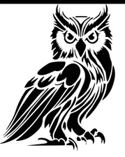 10” medium camper van car bonnet side sticker owl vinyl decal wall art barn farm