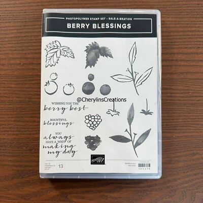 Berry Blessings Stampin Up Stamp Set NEW 155276 SUMMER BLUEBERRY BLACKBERRY