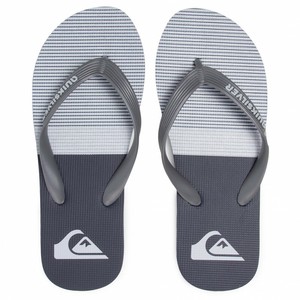 quiksilver slippers price