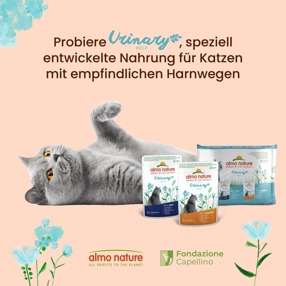 Holistic Urinary Help - Nassfutter für ausgewachsene Katzen - mit Huhn - 70g ... - Bild 2 von 4