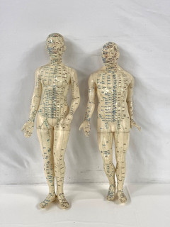 Pair of Vintage Acupuncture Figures 17” Chinese Meridian Anatomy Models