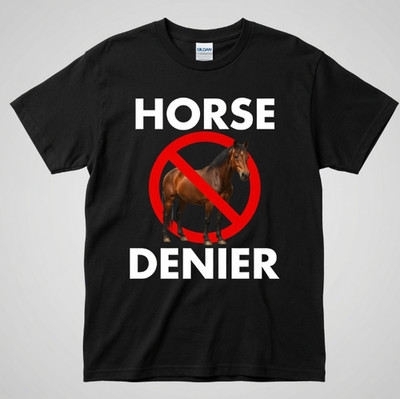 I Deny Horses Funny Conspiracy T-Shirt - Unhinged Meme Tee