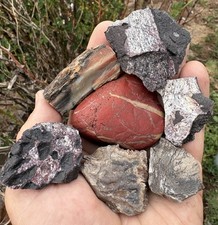 RR: 5 Triassic Fossils, Pet Wood, +Red Jasper, NE AZ. 8.8 Oz.