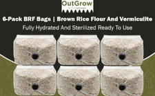 BRF Mushroom Substrate Grow Bags (6 pack)