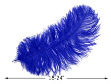 10 Wing 18- 24" Royal Blue Ostrich Plumes Centerpiece Feathers Costume Halloween