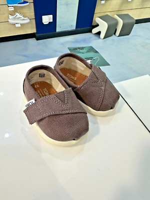 Toms Tiny Classic Ash Canvas Größe 1,5 UK brandneu mit Karton