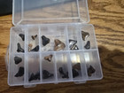 Sharks Teeth (33) and Broken Arrow Head (1) in Plastic Container — photo 4