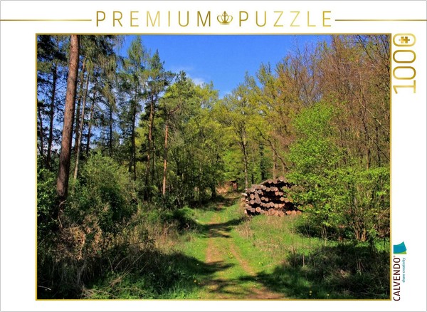 Calvendo Puzzle A Beautiful Forest Path | 1000 Pieces, Finished Size 25.2 × 18.9-image