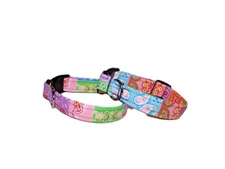Wet Nose Designs Bright Paislee Life Dog Collar Paisley Blocks Bandana