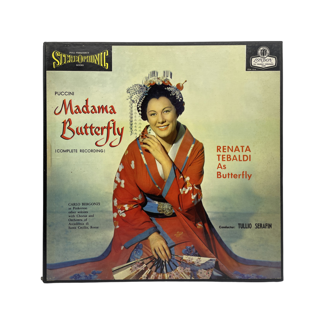 美品 butterfly the music of butterfly LP Butterfly (Vincent Gallo and Harper Simon) - The Music of