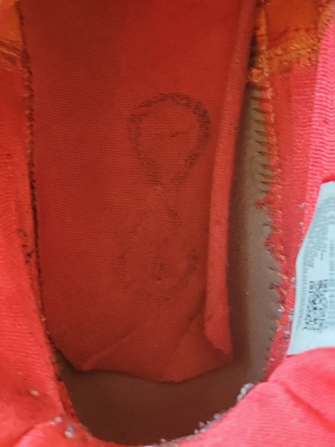 Picture 13 of 14
