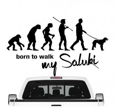 Saluki Tazi Windhund Evolution Auto Aufkleber Hund Folie Sticker Dog - Bild 1 von 4