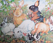 Vintage Pimpernel Rabbit Cork Placemats &Coasters,Six Each.Original Boxes.Unused