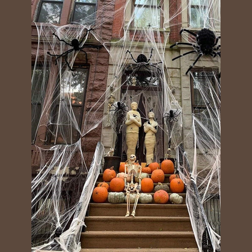 20gm Spider Web Halloween Decoration with Fake Spider for Indoor & Outdoor Party - Picture 12 of 15