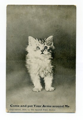 Kitten, Come & put your arms around me, 1910 cat postcard, Sparrell Print