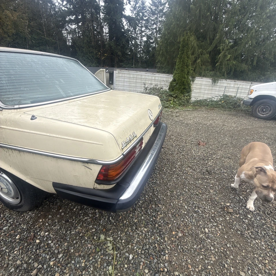 Mercedes Benz 240D 1981 a la venta tal cual o dispuesto a separarse Foto 4 de 4