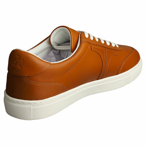 Ted Baker Robertt Retro Sneaker Mens 