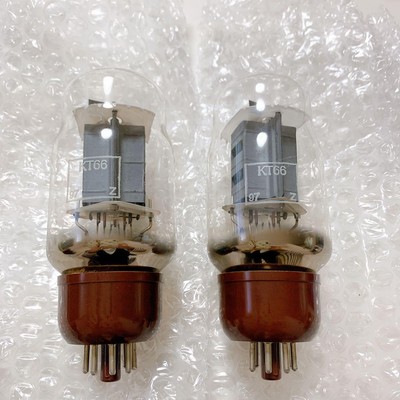 Set Di 2 Golden Dragon Kt66 #1 | eBay Set Di 2 Golden Dragon Kt66 #1 | eBay