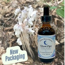 Ghost Pipe Herbal Tincture  Handcrafted with Wild Monotropa uniflora
