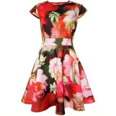 Skater Dress Ted Baker Red Floral Dress Ted Baker Kinle Sundae