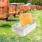Stainless Steel Honey Uncapping Station, Beekeeping Supply Tools 24"x 17"x 7.9''