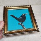 Bild 8 von 9