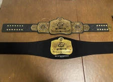 WWE Tag Team Replica Championship Belt WWE Shop Official With Bag 2024 Fanatics 