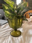 Green Indiana Glass 'Harvest' Pattern Compote With Grape Leaf Motive Avocado — photo 1