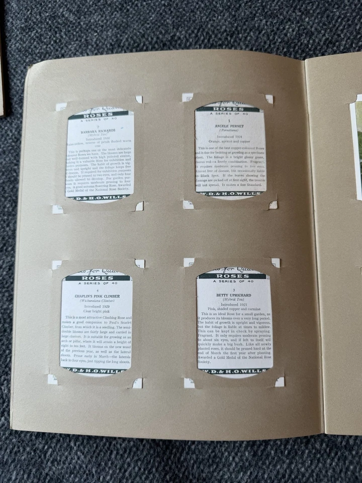 Wills Roses (Different) Full Set Large 40 Cigarette Cards In Album - VG+ - Image 3 of 4