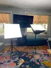 2 PRO PHOTO STUDIO LS LIGHTING STUDIO PHOTOGRAPHY LIGHTS with BULBS STANDS
