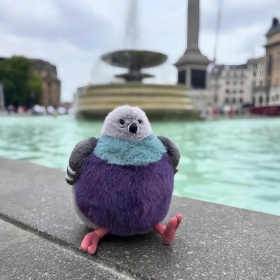 Jelly Cat Leicester Pigeon - London Selfridges Exclusive BNWT