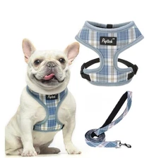 Soft Mesh Dog Harness and Leash Set Pet Puppy Cat Comfort Padded Vest No Pull