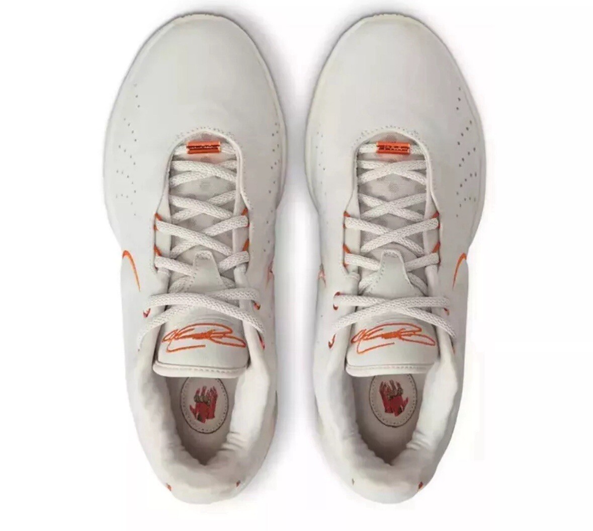 Nike LeBron XXI Akoya James Limited Edition Rare FV2345-001 Men's